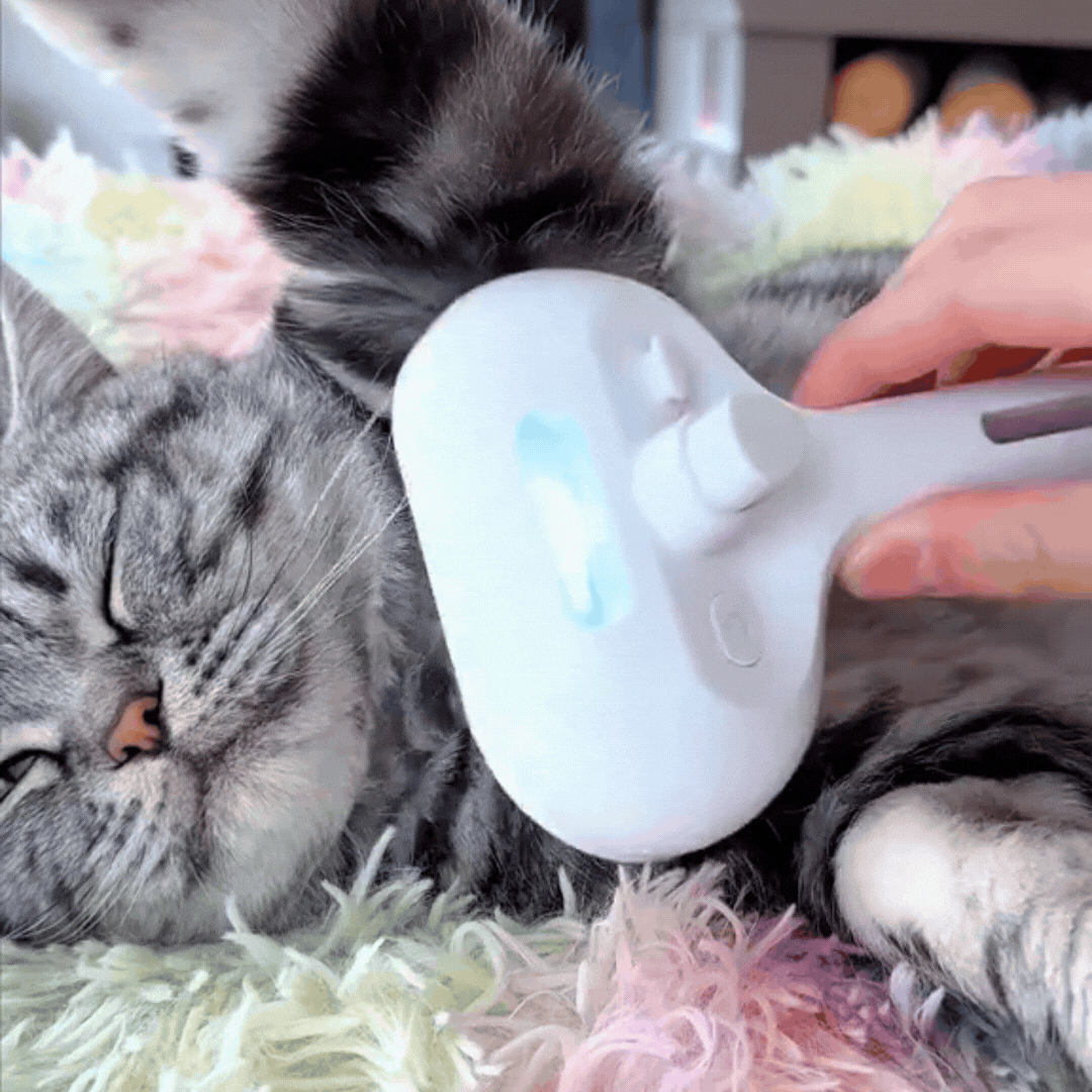 cat_brush-BübblPro