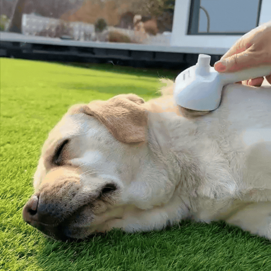 BubblGlide_PupBrush_3-BübblPro