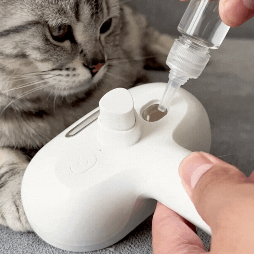 cat_brush_3-BübblPro